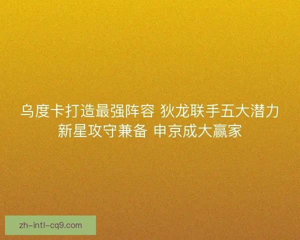 乌度卡打造最强阵容 狄龙联手五大潜力新星攻守兼备 申京成大赢家